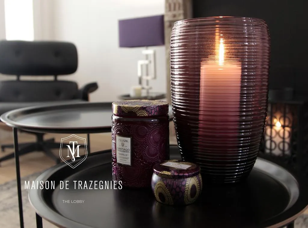شقة Maison De Trazegnies أنتويرب بلجيكا